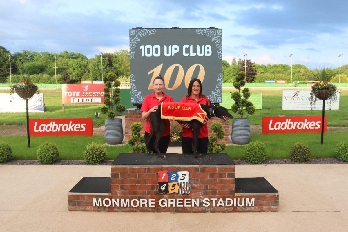 1/2 Thank you to @MonmoreRacing for honouring Ravenswell Bob’s 100th race last night He picked up a gracilis injury (not serious) and will now be retired There’s a sofa in Cheltenham waiting for him #RetiredNotRescued