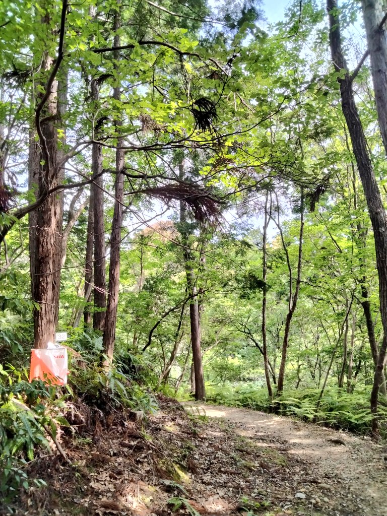 KimieTerashima's tweet photo. #worldorienteeringweek
#Diploma https://t.co/YyW10i5c6u