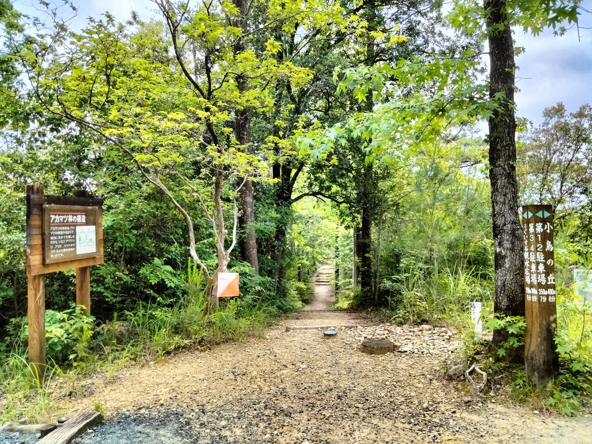 KimieTerashima's tweet photo. #worldorienteeringweek
#Diploma https://t.co/YyW10i5c6u