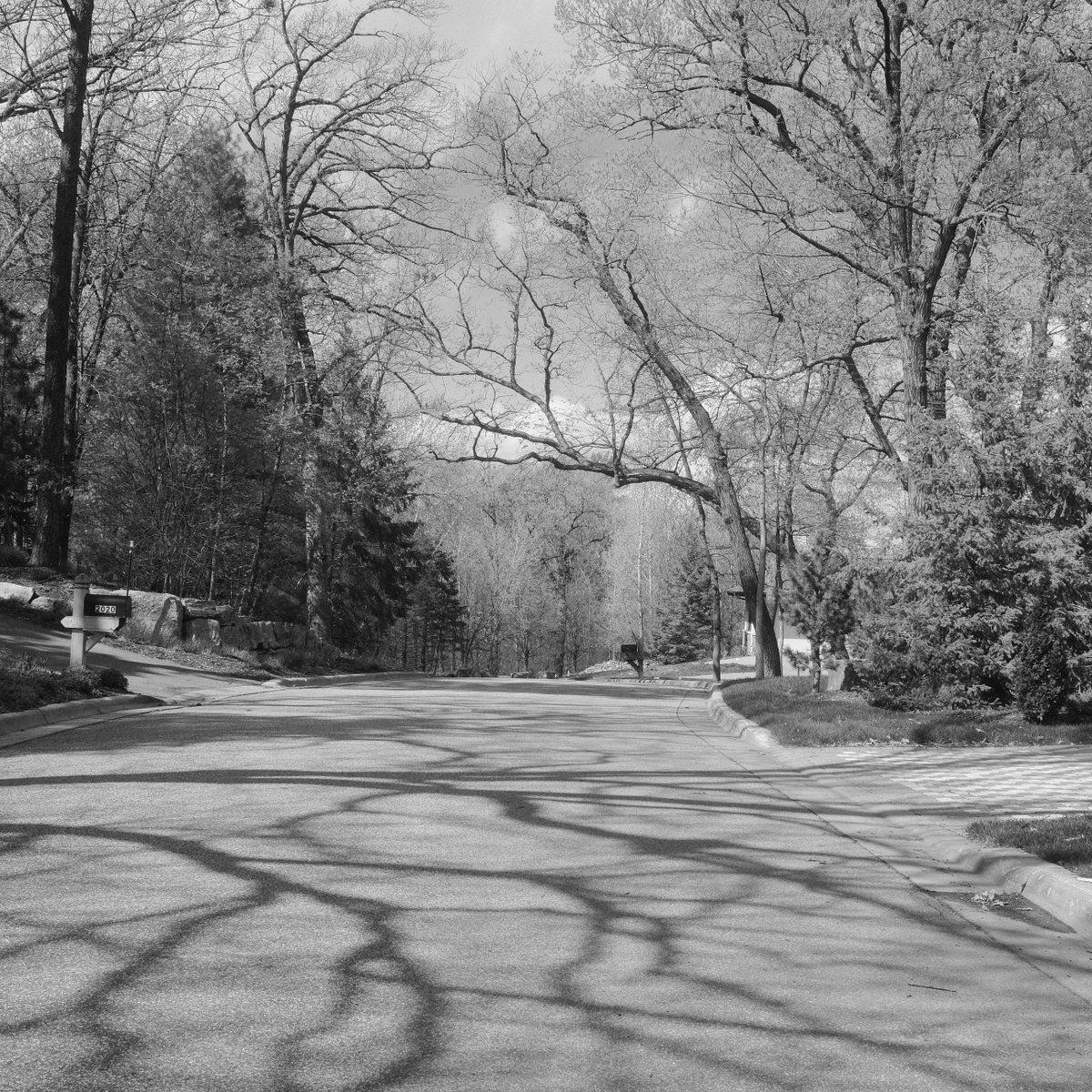 firsthandtweets's tweet photo. Photos made with my Fuji #x100vi https://t.co/93yndDc7gX