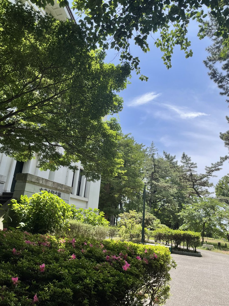 Green Vibration 作品展 tweet media