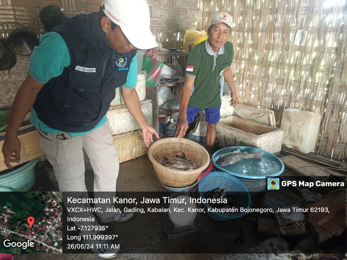 caturagungprab3's tweet photo. Minggu (26-5-2024) Catur A P, #Luhkan #Bnegoro, pendataan #produksi nelayan Masduki PUD sungai Bengawan solo di KUB Tirto Aji Ds Kabalan, Nggaringan 15kg harga Rp. 20.000/kg Bengkik 15kg harga Rp 25.000
#GiatLuhkanSatminkalBWI
#Bnegoro 
@puslatluhkp
@bppp_banyuwangi
@brsdm_kp https://t.co/dwVhakutZ4