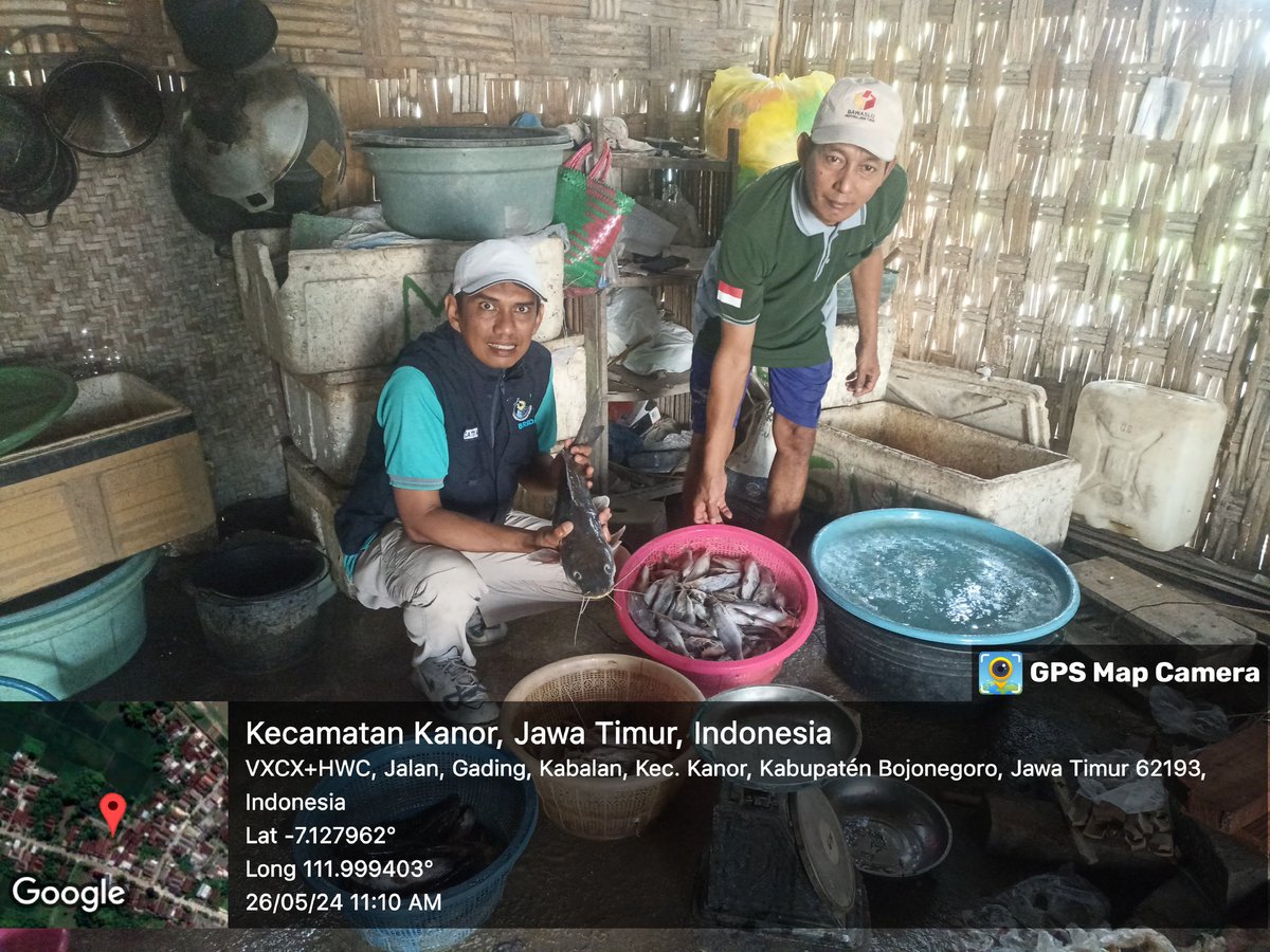 caturagungprab3's tweet photo. Minggu (26-5-2024) Catur A P, #Luhkan #Bnegoro, pendataan #produksi nelayan Masduki PUD sungai Bengawan solo di KUB Tirto Aji Ds Kabalan, Nggaringan 15kg harga Rp. 20.000/kg Bengkik 15kg harga Rp 25.000
#GiatLuhkanSatminkalBWI
#Bnegoro 
@puslatluhkp
@bppp_banyuwangi
@brsdm_kp https://t.co/dwVhakutZ4