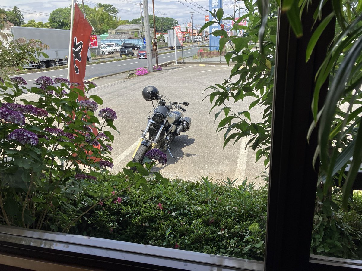 来週から雨予想みたいだから

今のうちにマグナで好きな蕎麦屋さんに

食べに行きながら近所ツーに！

神風一門Tシャツで今日も広めてきたゼ

良い季節になったなぁ
#マグナ250 #バイク #神風一門 
#柏市 #幸右衛門