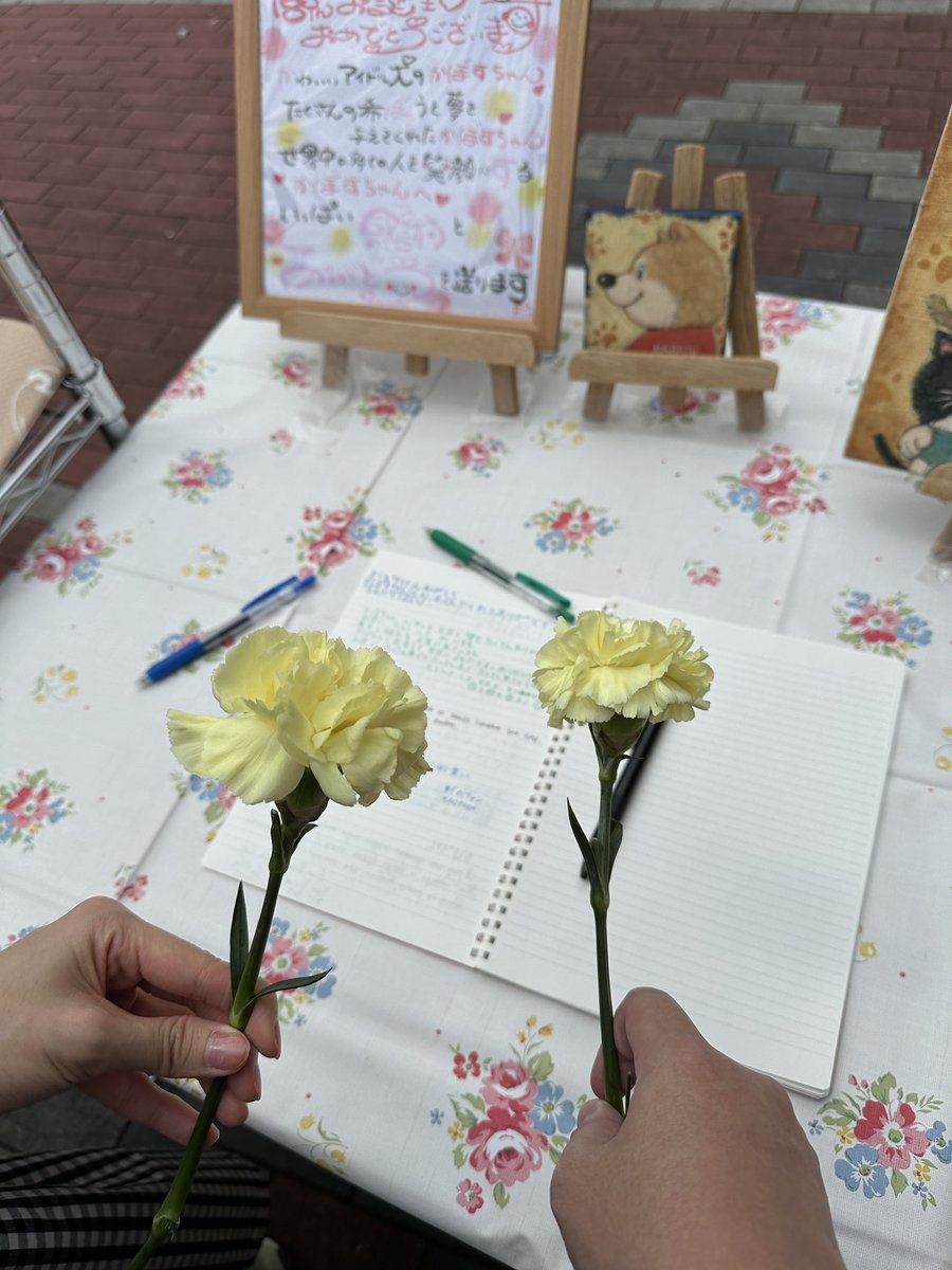 theChlorophilly's tweet photo. Went to Kabosu aka DOGE’s funeral.

Thank you for bringing us smile.

RIP 🥲 https://t.co/Sv7DempYeU