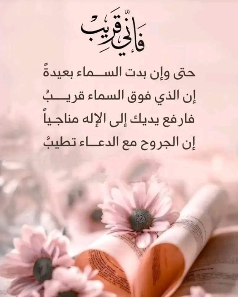 #ابن_الجبال tweet media