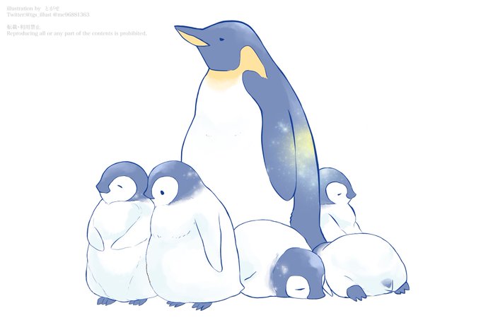 「bird penguin」 illustration images(Latest)