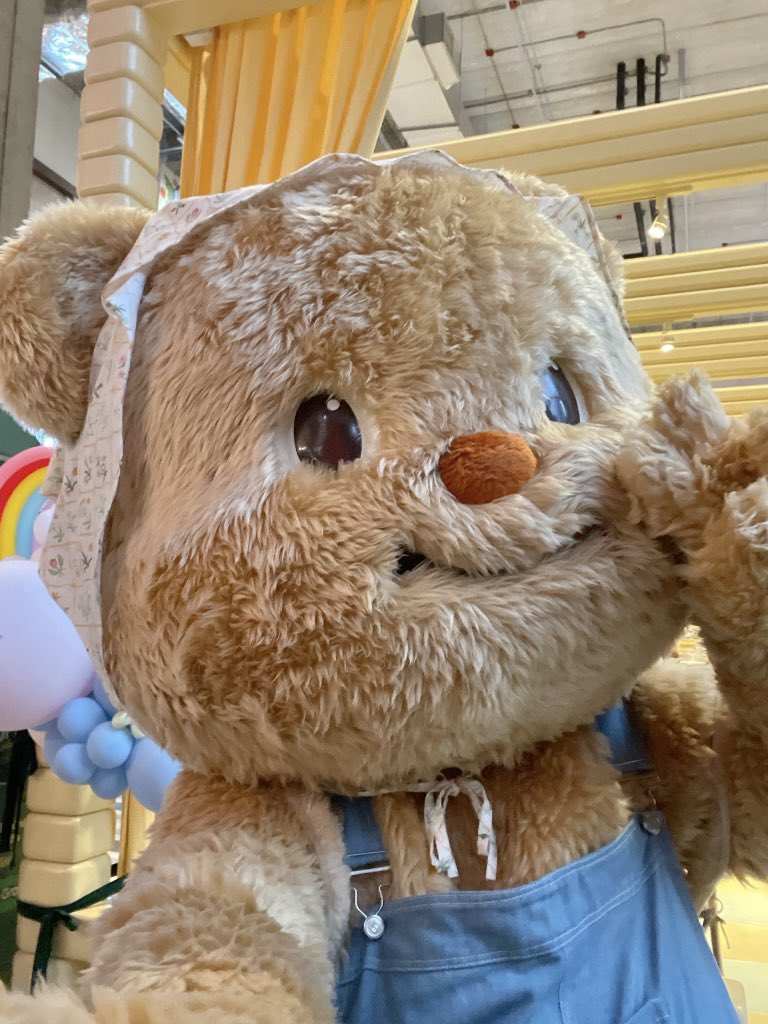 Butterbear.th tweet media
