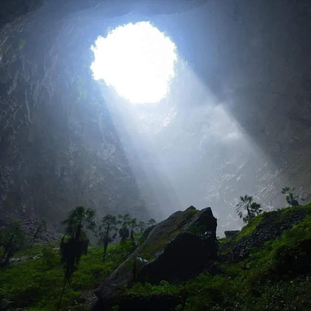 En Hubei, China, descubrieron un mundo forestal a 300 metros bajo tierra que oculta un ecosistema único, con especies diferentes de árboles, plantas y animales😮👇