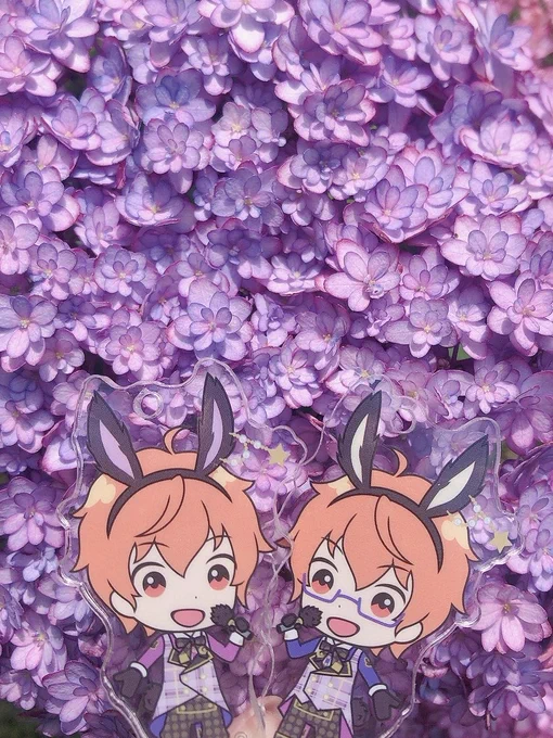 俺のお花たち 