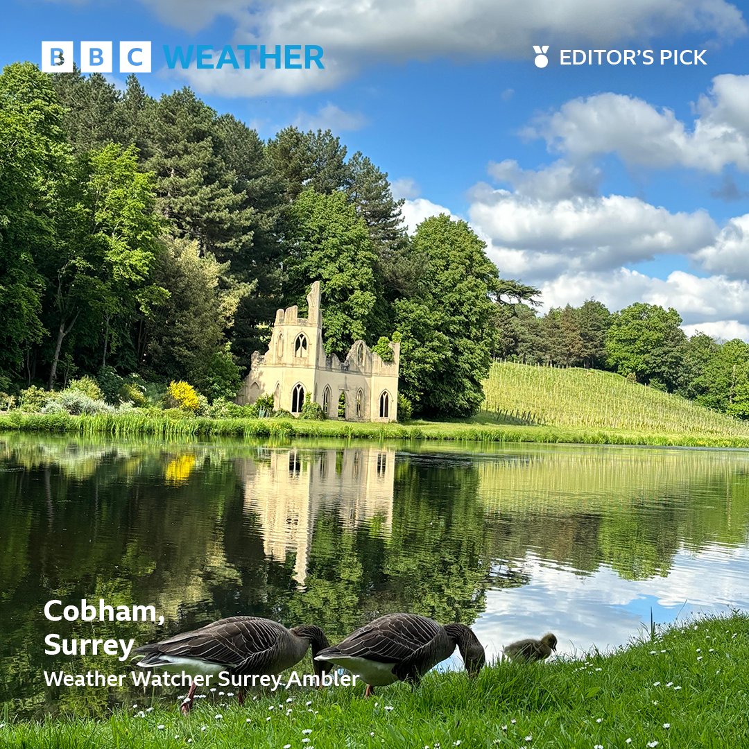 Cobham, Surrey. 📸 Today's #PhotoOfTheDay was supplied by Weather Watcher Surrey Ambler.