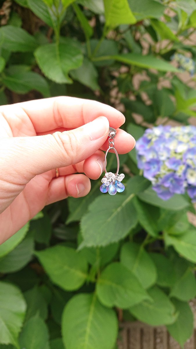 KSSKids's tweet photo. こんにちは✨だいぶお久しぶりの投稿になってしまいました💦

こちらは紫陽花ピアスです💛
少し艶消しになっているチェコビーズを使用して作製しました💛

季節のお花って綺麗ですよね💕
私は紫陽花も大好きです！

https://t.co/SSHfSoSFtz https://t.co/YXNvlnF63W