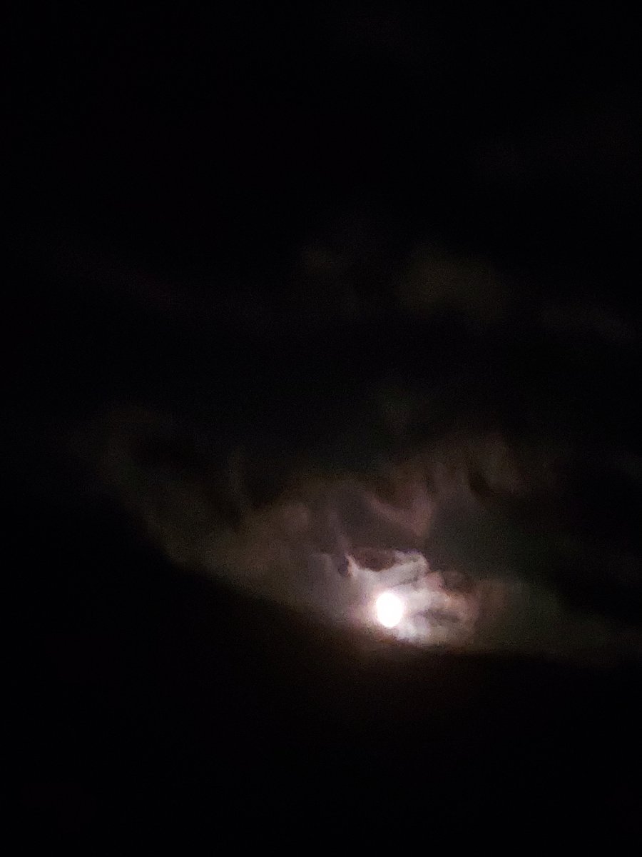 Shellteezy's tweet photo. That's a sexy ass moon @mi https://t.co/C2o6ktwkwr
