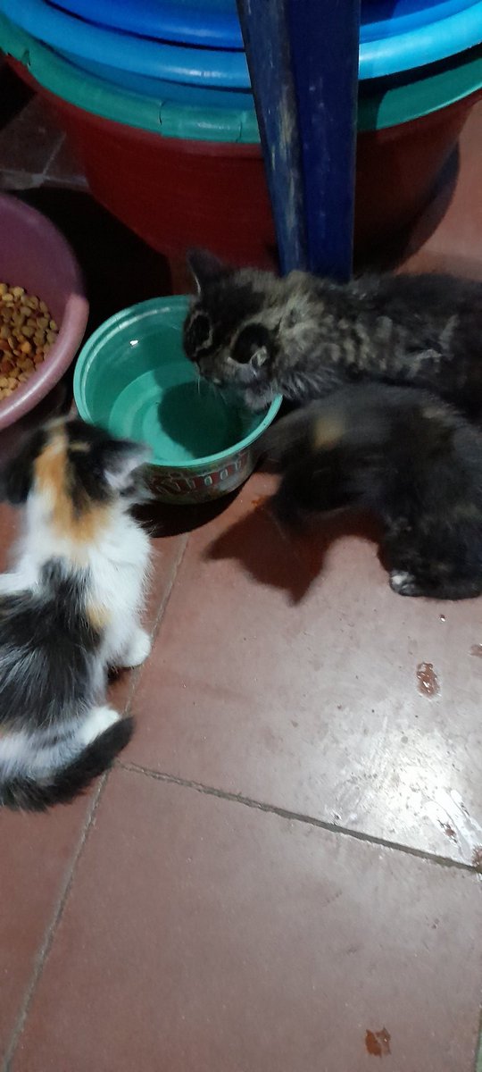 Yesidara1's tweet photo. Entrega solo en Cojutepeque ,El walter ,El salvador. https://t.co/qe8fRGYPSN