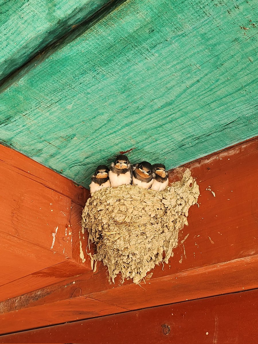 축복합니다♡
덕분입니다♡

전주향교~*