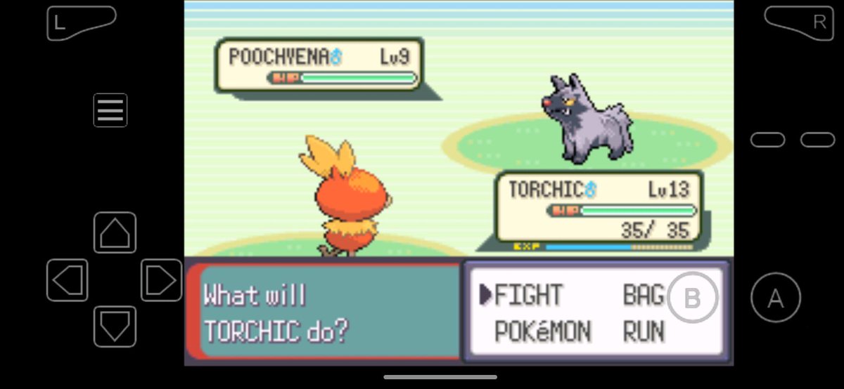 Baixei de novo Pokemon Emerald GBA, quando zerar eu volto e posto meu time