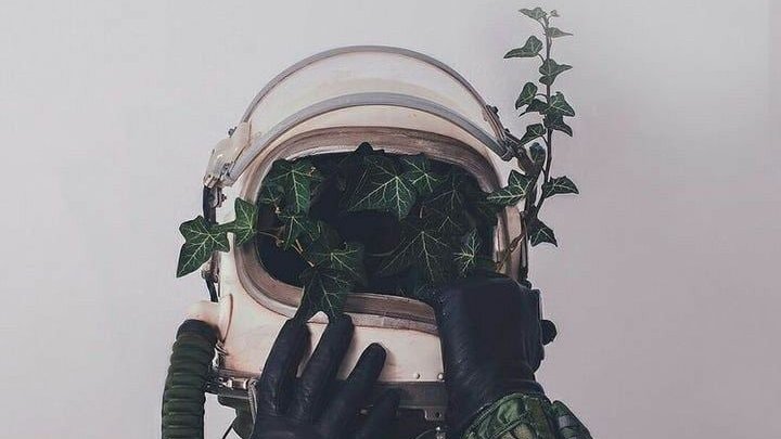 devintron's tweet photo. we back 🛰️ https://t.co/7jsL82QMx6