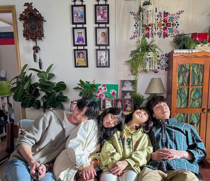 daisy han tweet media