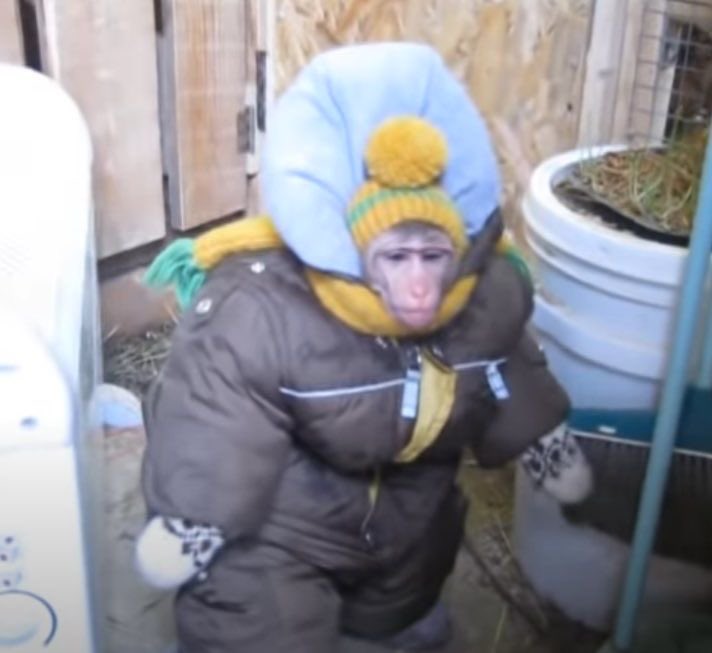 pensar que en este momento hay gente que está decidiendo salir de su casa voluntariamente sin ningún tipo de necesidad mientras yo estoy así al lado de la estufa de mi casa