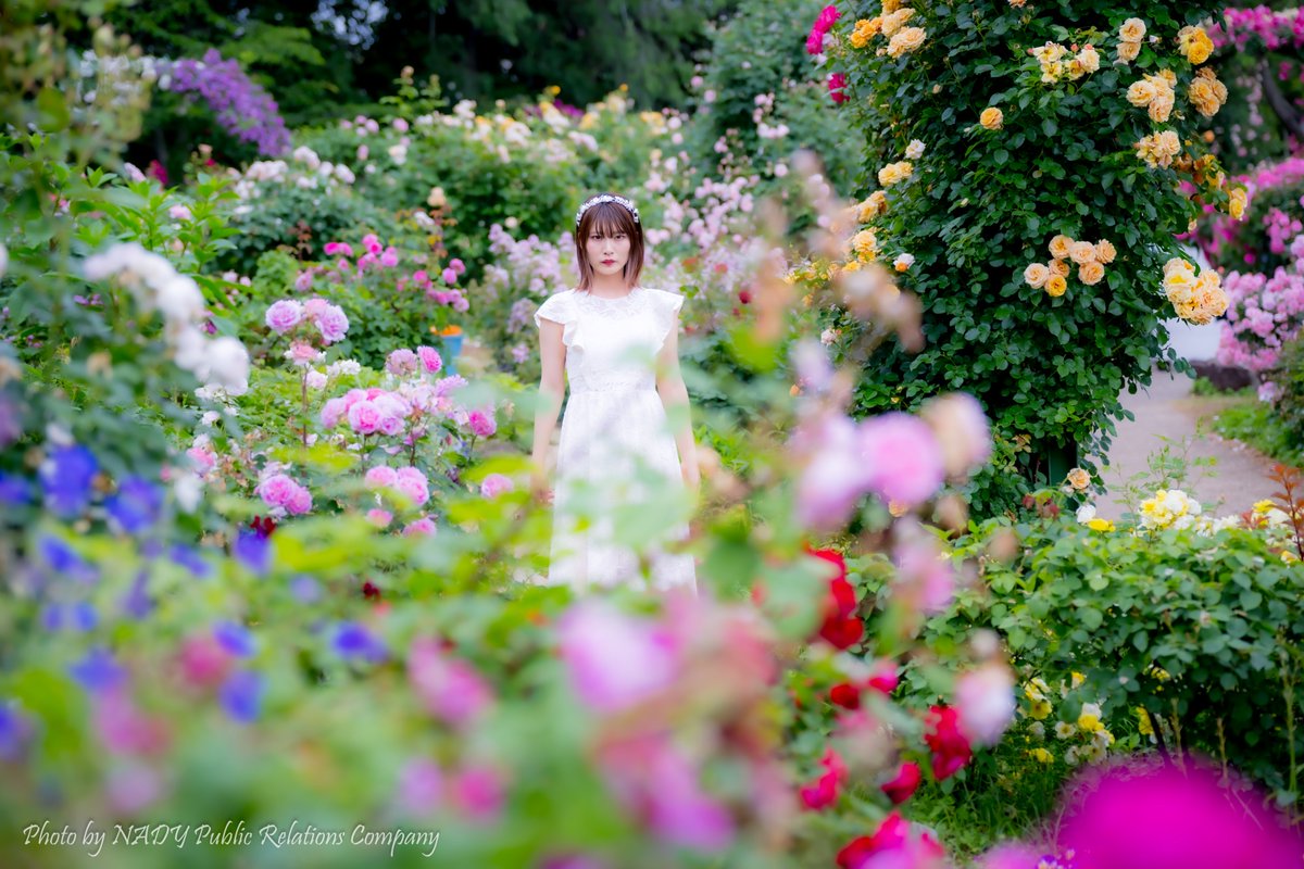 NADY_PRC's tweet photo. 薔薇に囲まれて。
Model
橘エマさん
@tachi_emma64
@emma10official
#橘エマ
#橘エマ展proof_240604~240609
#Emma_Portrait
#Memorable_Lady
#共創ポートレート
#キミの今を残そう
#一写絶命
#NikonZ9 https://t.co/l0AQDBB7BC