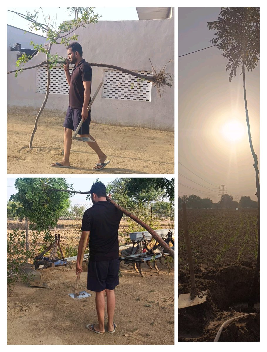ArvindKatewa3's tweet photo. #एक_पेड़_मैं_भी_लगाऊंगा https://t.co/TWgb8pbpNI