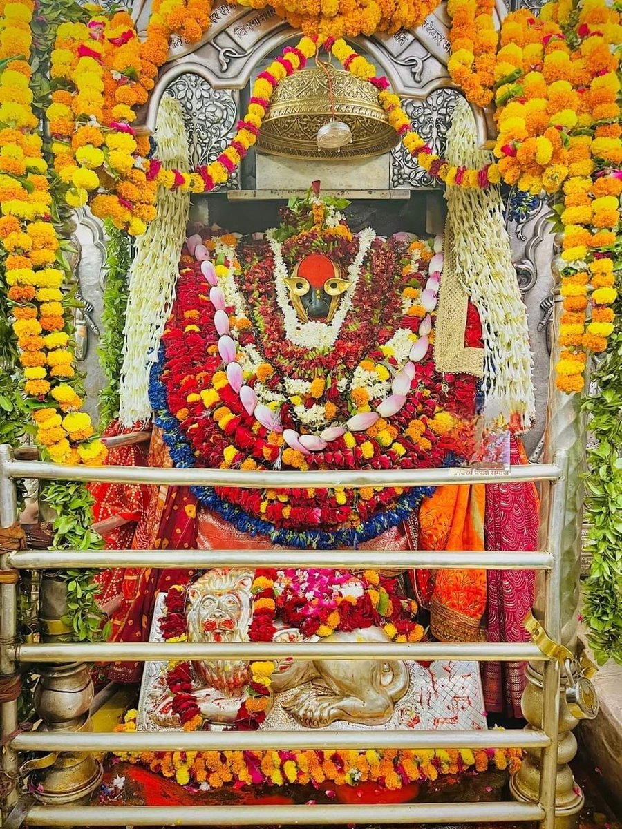 🌼🌹🌼शक्तिपीठ माँ विंध्यवासनी जी आज के मंगला आरती दर्शन🌼🌹🌼