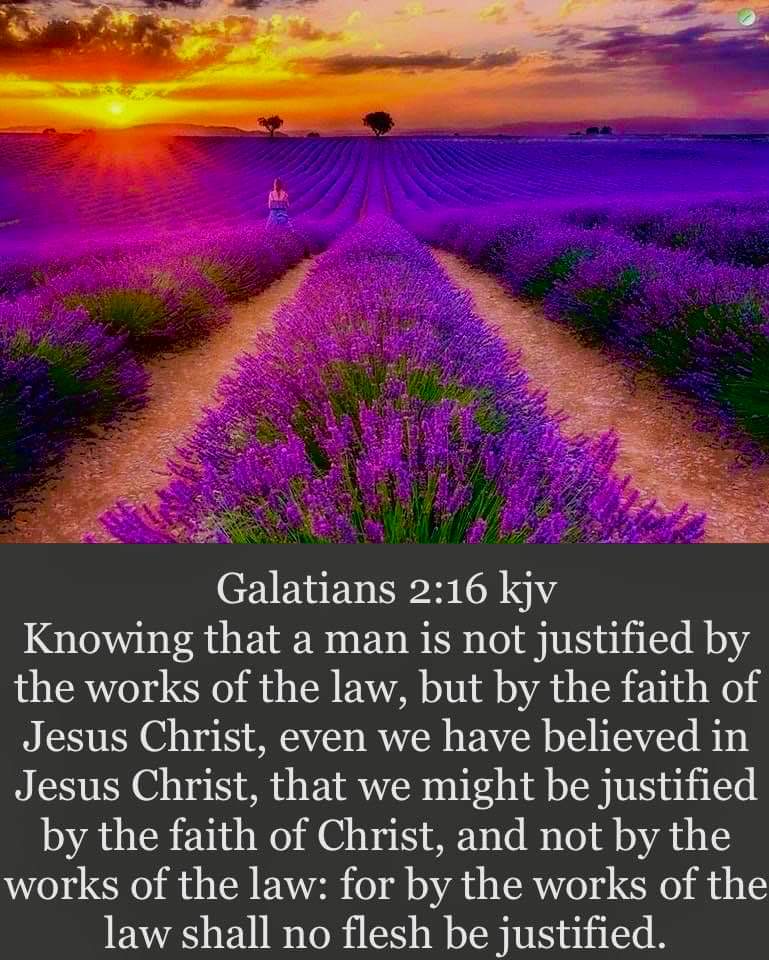 We are justified by the faith of Jesus Christ.