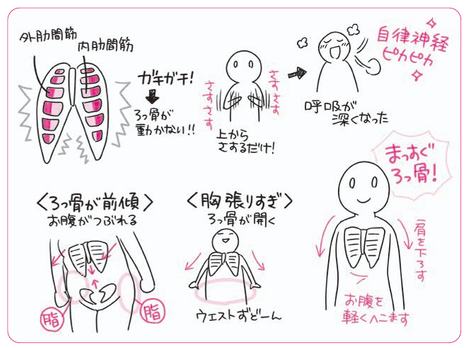 ellymouse94's tweet photo. ■ろっ骨をさするとウエストが細くなる！
お腹はろっ骨と骨盤に挟まれた「柔らかい」部分なので、上下の骨の向きと距離で老廃物のつきやすさが変わります。ろっ骨を覆う「肋間筋」をさすってほぐすと、その中の肺の膨らみの制限が少なくなるので、呼吸が深くなり、自律神経も整います。《さらに表示でイラスト解説》

過度な食事制限や運動などは必要ありません。心身ともに軽やかな気持ちで、健康的に適正な体になる方法をわかりやすくイラストで解説しています。

《やること》
・ろっ骨をさすって深呼吸
・お腹を軽く���まし、肩を下して、ろっ骨を立てる

《なぜ》
・お腹はろっ骨と骨盤にはさまれた「柔らかい」ところ
・ろっ骨の上部が前に倒れると、お腹が潰れて横に肥大化する
・胸を張りすぎて、ろっ骨の下側が前に出すぎると、肋骨が開きすぎて「みぞおち」が太くなる

参考になれば、
・いいね
・ブックマーク
・コメント
を頂けると嬉しいです！

著書『自然やせ力』から「自然にやせる力の秘密」を紹介
#自然やせ力