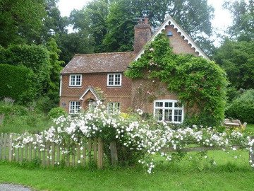 softdeIicacy's tweet image. private garden.