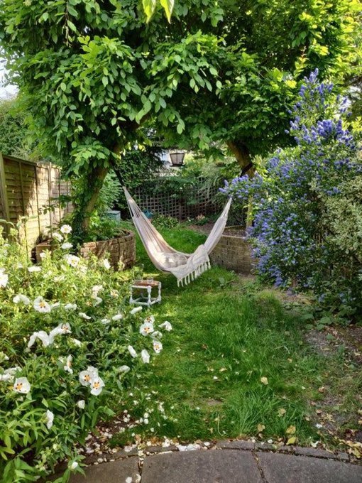 softdeIicacy's tweet image. private garden.