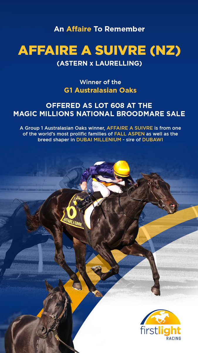 An Affaire To Remember 🟡 AFFAIRE A SUIVRE (NZ) 🔵 Offered As Lot 608 At The @Mmsnippets National Broodmare Sale. @FirstLight_FLR catalogue.magicmillions.com.au/sale/24GWM?d=S…