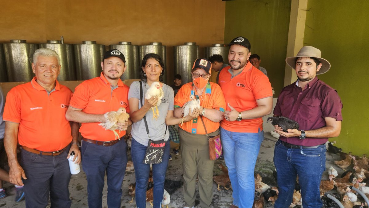 Con mucha satisfacción hicimos entrega de gallos y gallinas ponedoras criollas y semillas para hortaliza a familias campesinas de El Triunfo, Choluteca. 

También recibieron capacitación con el objetivo de mejorar la dieta alimenticia y aplicar técnicas agropecuarias sostenibles.