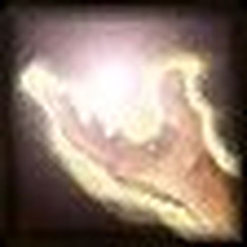 Cody Rhodes après avoir pris 4 finisher, être passé à travers 8 table, pris 4 coup de couteau, une roquette dans le trou de balle: