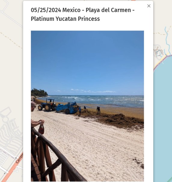 May. 25th 2024 #Mexico #Mexique #PlayadelCarmen Check out all the pictures of the day on the map 2024 here : sargassummonitoring.com/en/official-ma… #sargassum #sargasso #sargazo #sargasses #sargassummonitoring #SurveillancedesSargasses #MonitoreodeSargazo #RivieraMaya #CitizenScience