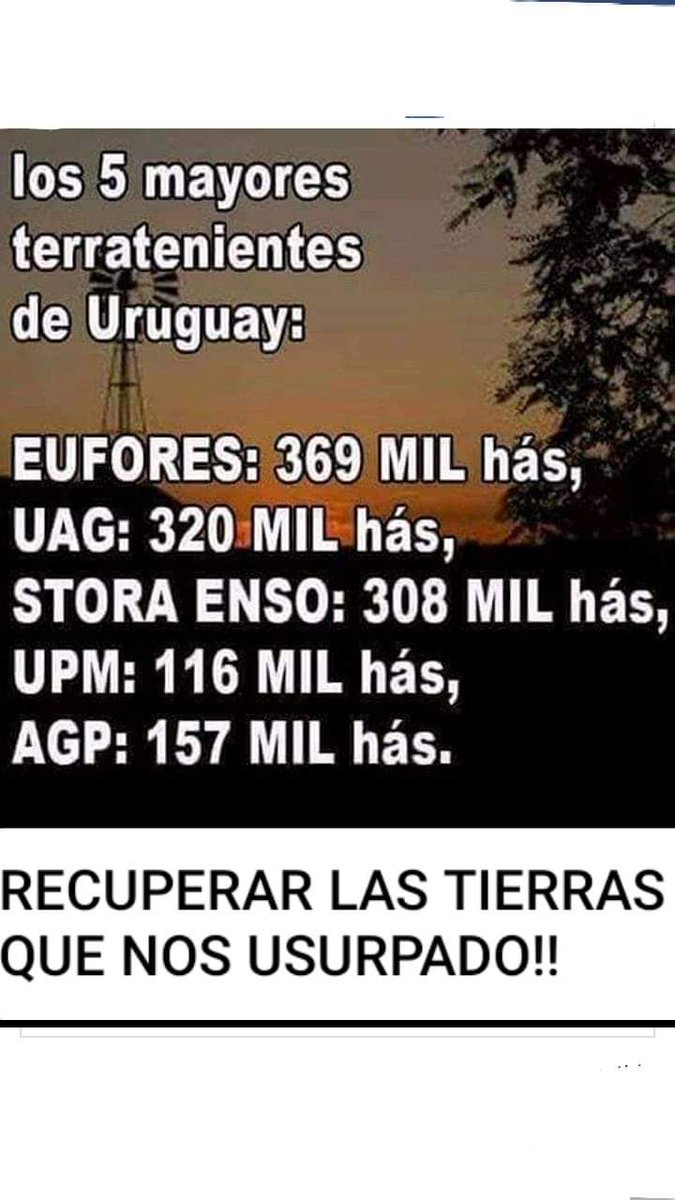 UPM acaba de 'comprar' 58.000 ha
Y qué le pasa a la garra charrúa, van a seguir tomando mate? Están anestesiados o qué????