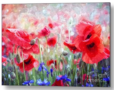 Sandi OReilly @sandioreilly 20% Off All #Products Thru Monday 12Pm Red Poppies Watercolor We Remember HERE: sandi-oreilly.pixels.com/featured/red-p… #remember #honor #military #flanders #fields #red #poppies #signify #hope #future #AYearForArt #SLOArtworks More Here sandi-oreilly.pixels.com