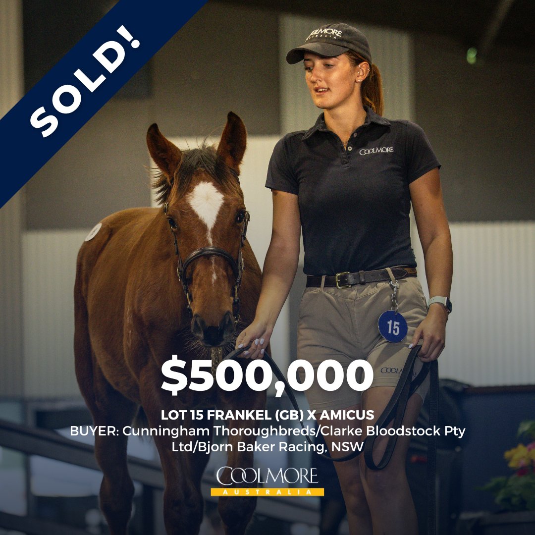 Congratulations to @CunninghamTbred / @ClarkeBstock / @BBakerRacing on securing the smashing @JuddmonteFarms Frankel colt out of Group One winner Amicus (Fastnet Rock) from the family of Starspangledbanner @mmsnippets. #RaisedAndGrazed #Coolmore #HomeOfChampions