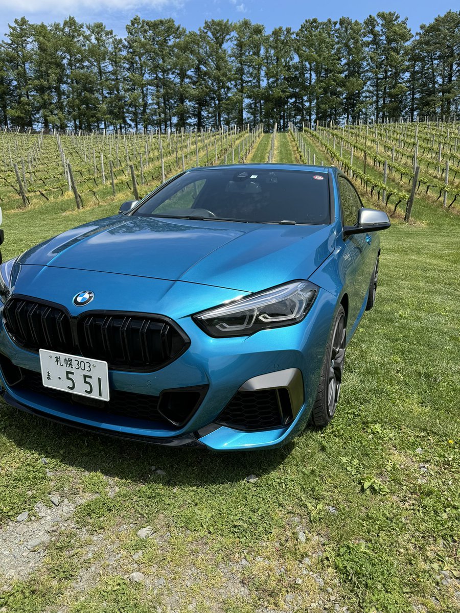 葡萄好き 楽天市場】はじめにお読みください：しあわせワイン倶楽部