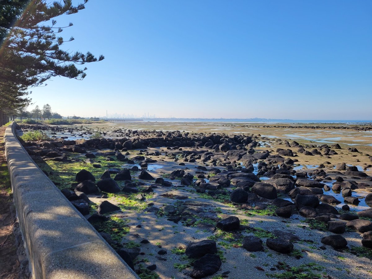 Smell of decomposing seaweed has cleared my sinuses.