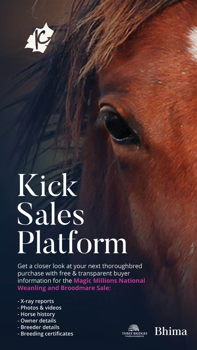💲KICK SALES PLATFORM💲 View free & transparent buyer information for @mmsnippets National Weanling and Broodmare Sale: - X-ray reports - Photos & videos - Horse history - Owner details - Breeder details - Breeding certificates @KickCollective @BhimaTBreds @ThreeBridges1 👉