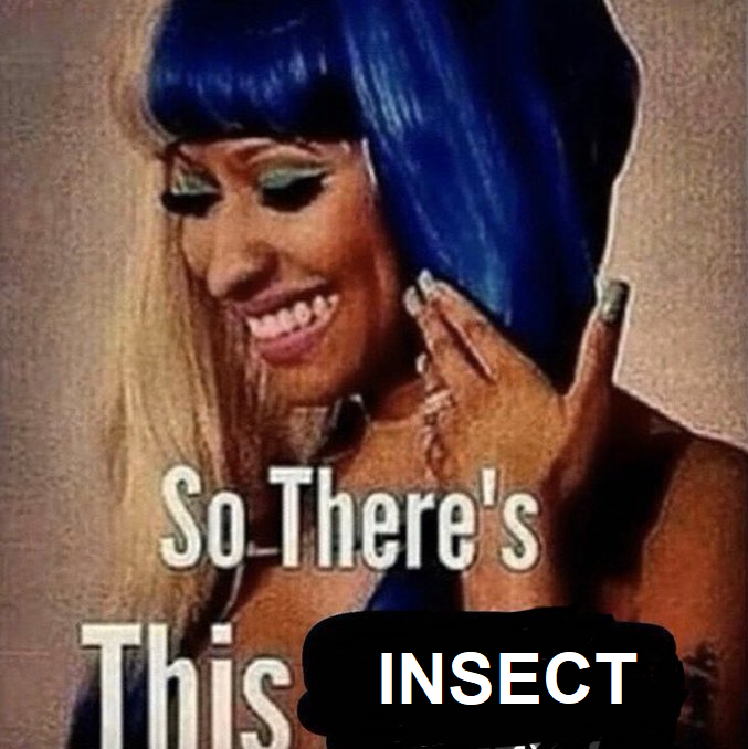 nero's transmasc hysteria (@alabasterffxiv) on Twitter photo 