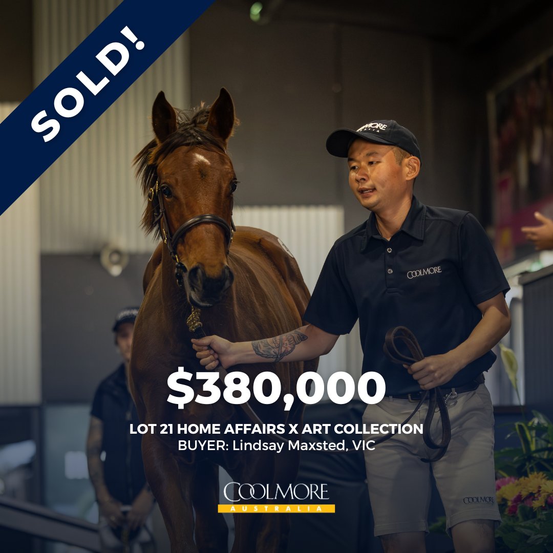 Lindsay Maxsted secures the outstanding Home Affairs filly out of Art Collection (Fastnet Rock) @mmsnippets. Home Affairs is represented by 16 Lots in the sale and his outstanding foals have certainly been a talking point this week. #RaisedAndGrazed #Coolmore #HomeOfChampions