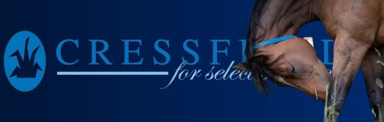 🔵 @Cressfieldstud For Select Breeding 🔵 catalogue.magicmillions.com.au/sale/24GWM?d=S…