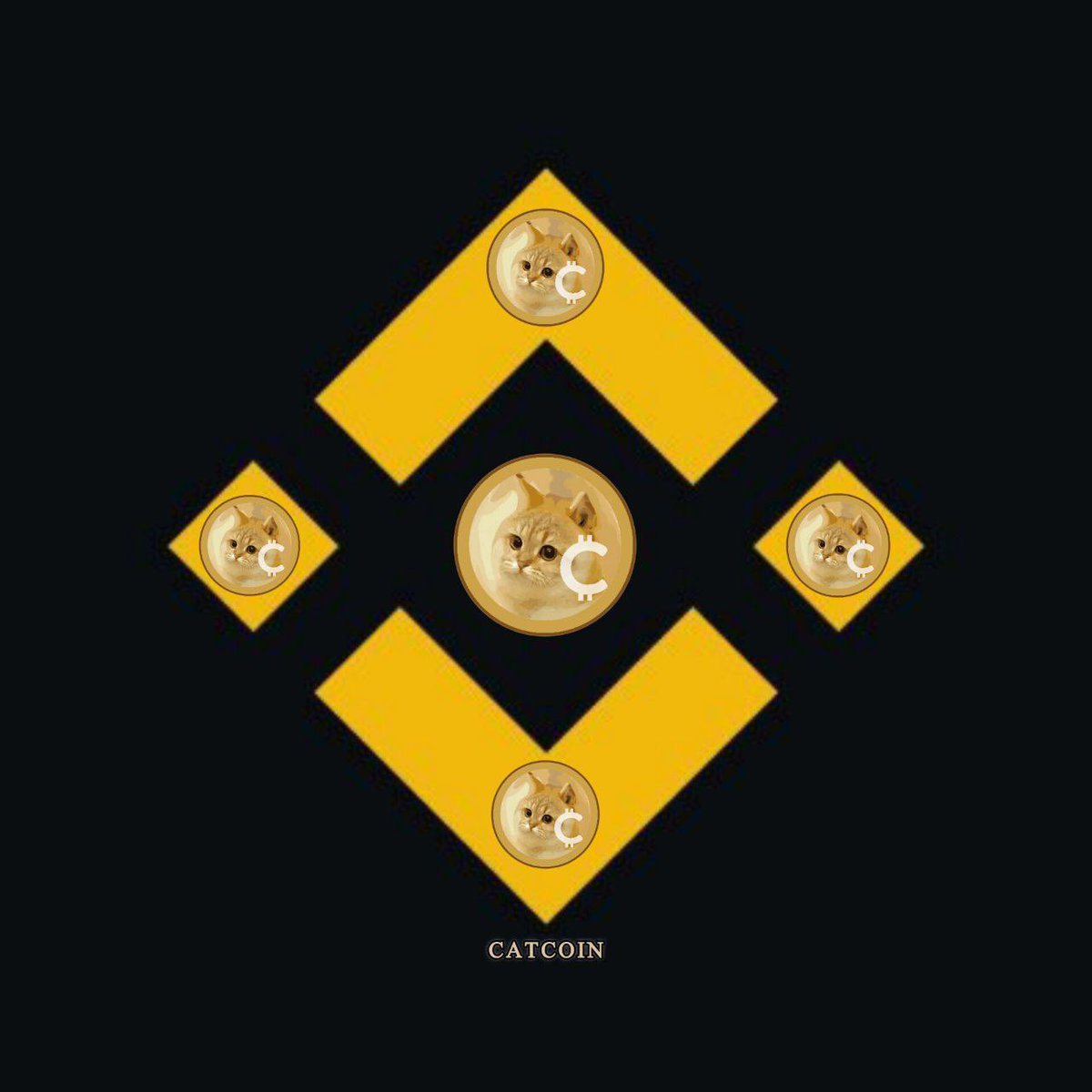 Go to the new week with catcoin, 100x,  Binance