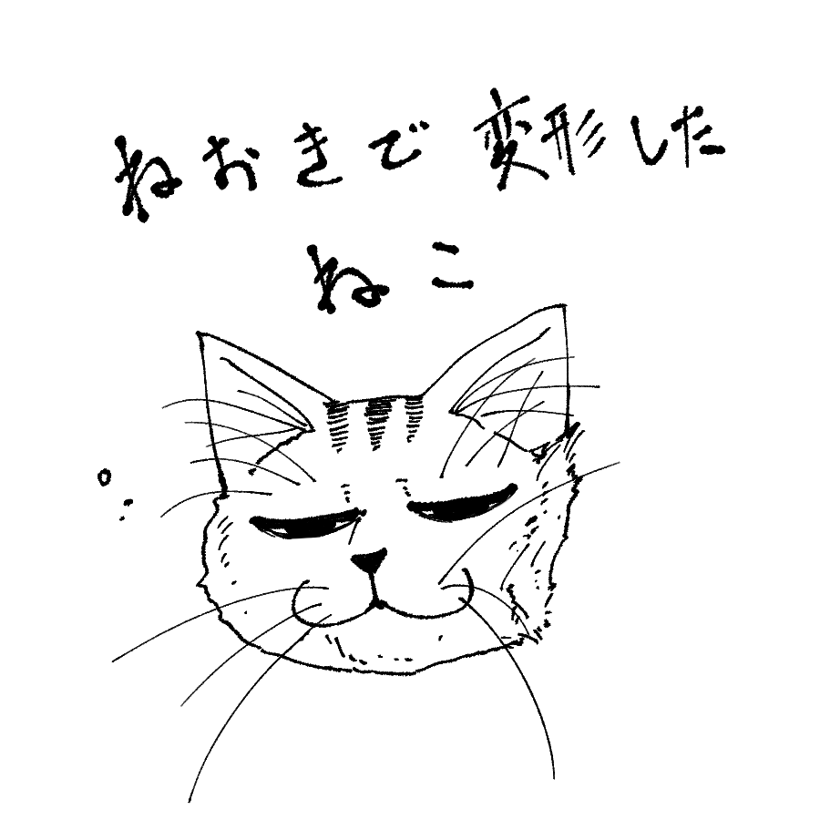 猫飼ってるやつみんなが好きなものこれwwwwwwwwww 