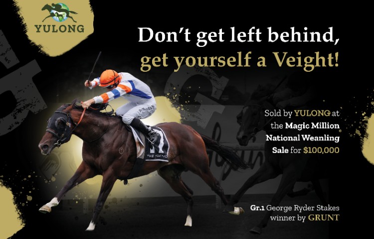 Don't get left behind, Get yourself a Veight! 🟢 GRUNT 🟢 $22,000 inc. GST 📱 Harry King +61 457 496 666 📱 Claudia McDougall +61 457 746 666 @YulongInvest yulonginvest.com.au