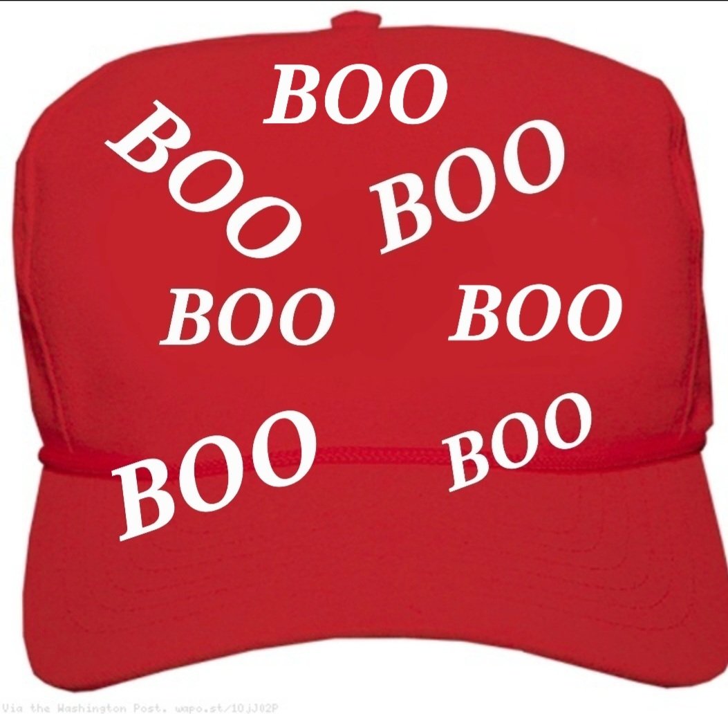 @RonFilipkowski Trump's new Libertarian hat