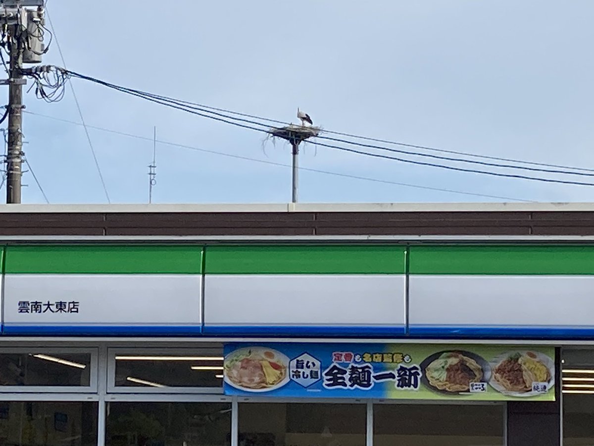 UnnanL's tweet photo. コウノトリファミマ。脇見運転ダメ。 https://t.co/ioU0B7ISEE