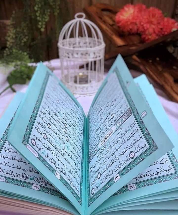 السلام علیکم 💐 
صبح بخیر ☘️ 
بےشک نماز نیند سے بہتر ھے 💯 

پس اگر تمہارا حساب کتاب ھونے والا نہیں ھے تو تم اس روح کو کیوں نہیں لوٹا دیتے اگر تم سچے ھو ۔

سورہ الواقعہ آیات 86 / 87