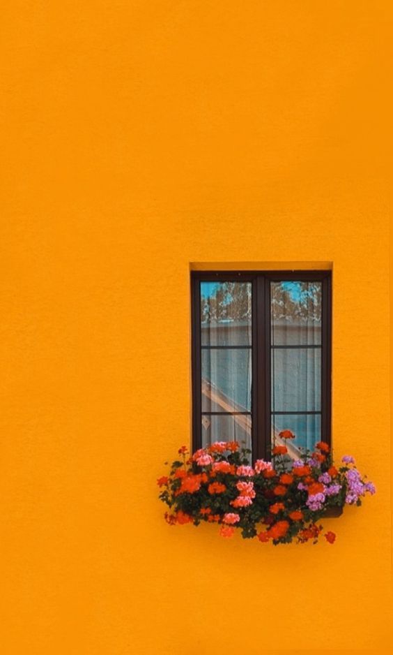 Ramin Nasibov (@raminnasibov) on Twitter photo 